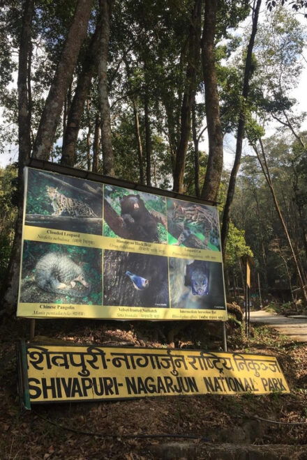 Kathmandu: Jamacho( Nagarjung Danda) Day Hike - Hiking Highlights