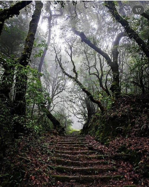 Kathmandu: Jamacho( Nagarjung Danda) Day Hike - Guided Tour Experience