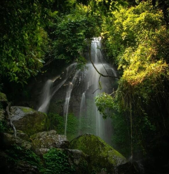 Kathmandu: Jamacho( Nagarjung Danda) Day Hike - Inclusions for Participants
