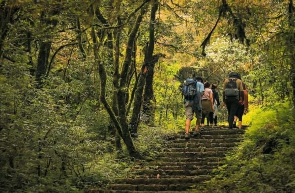 Kathmandu: Jamacho( Nagarjung Danda) Day Hike - Questions You May Have
