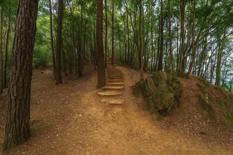 Kathmandu: Jamacho Peak Hike with Local Guide & Meal - Final Thoughts