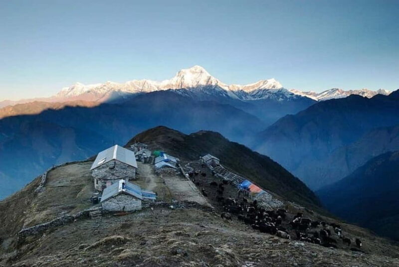 Kathmandu: Khopra Ridge Trek with Panoramic Views - Introduction to the Khopra Ridge Trek