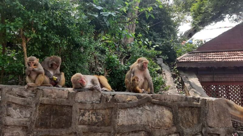 Kathmandu: Kirtipur Heritage & Monkey Temple Day Tour - The Sum Up: Who Will Love This Tour?