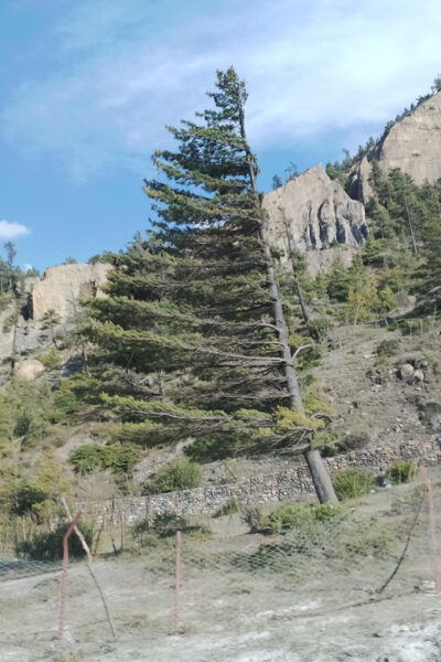 Kathmandu: Lower Mustang, Muktinath 4 W Jeep Guided Tour - Questions You May Have