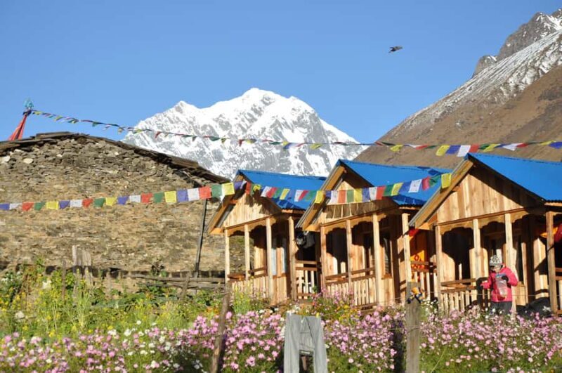 Kathmandu: Manaslu Circuit and Serang Gompa Trek - What Makes This Trek Special?