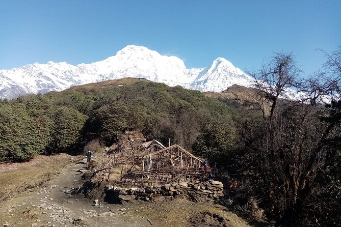 Kathmandu: Mardi Himal Base Camp Trek 4500 Meteres - Trek Itinerary
