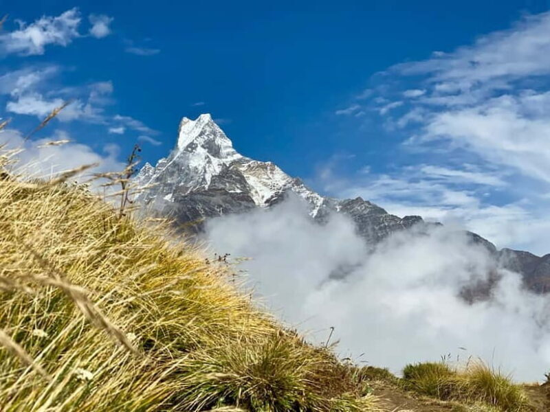 Kathmandu: Mardi Himal Trek with Vibrant Views - FAQ