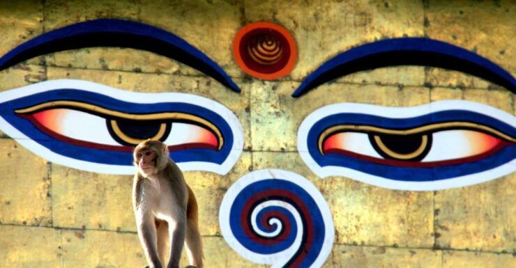 Kathmandu: Monkey Temple and Chandragiri Cable Car Ride Tour - Availability and Itinerary