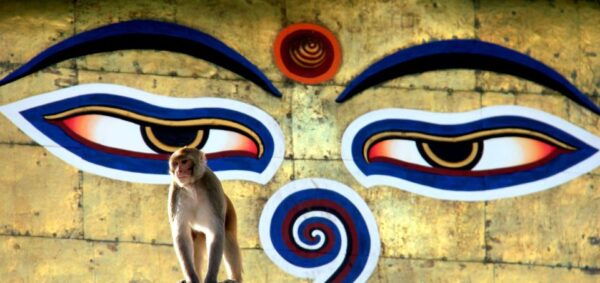 Kathmandu: Monkey Temple and Chandragiri Cable Car Ride Tour - The Sum Up