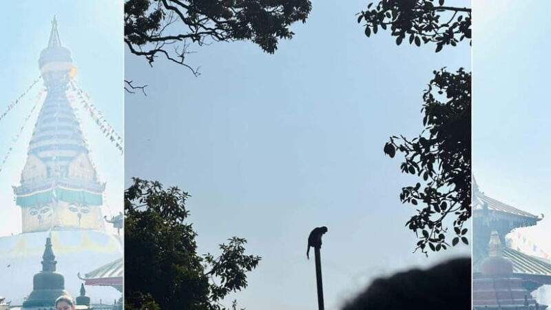 Kathmandu: Monkey Temple Guided Monkey Watching Tour - FAQ