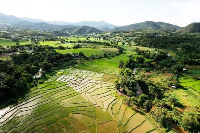 Kathmandu: Monsoon Magic! Eat, Explore, Capture the Rain - Volunteering Opportunities