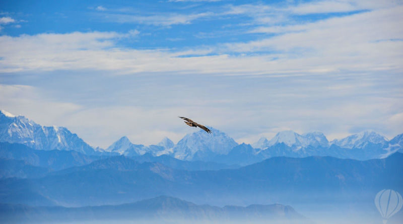 Kathmandu Nagarkot Hill Sunrise Half-Day Tour - The return to Kathmandu