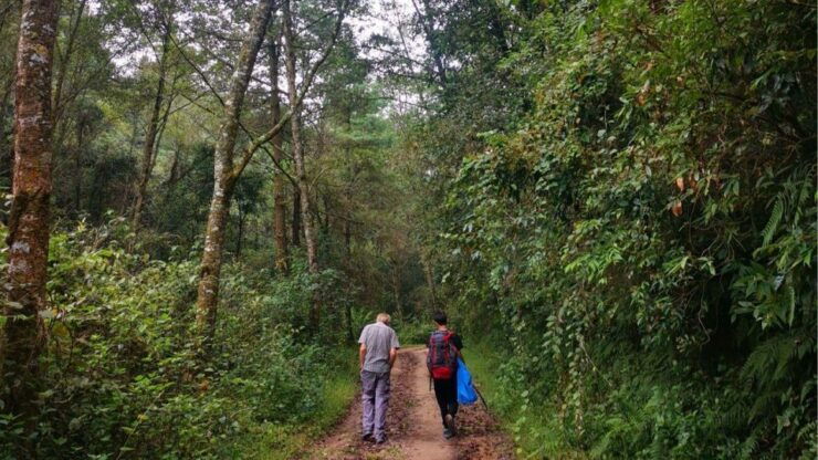 Kathmandu: Nagarkot Sunrise & Changu Narayan Hike Adventure - Nagarkot Sunrise Experience