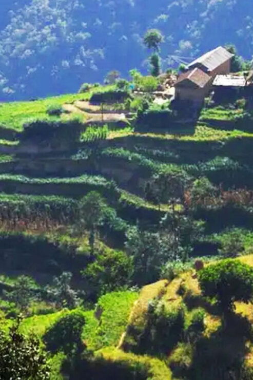 Kathmandu: Nagarkot Sunrise View Tour and Hike Changunarayan - Itinerary Details
