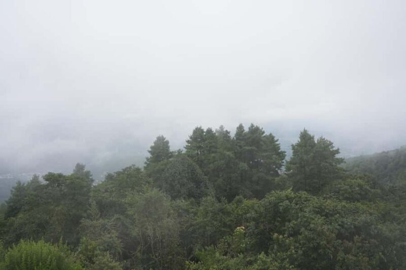 Kathmandu: Nagarkot Sunset Tour with Himalayan Views - Leisure Time and Optional Dinner