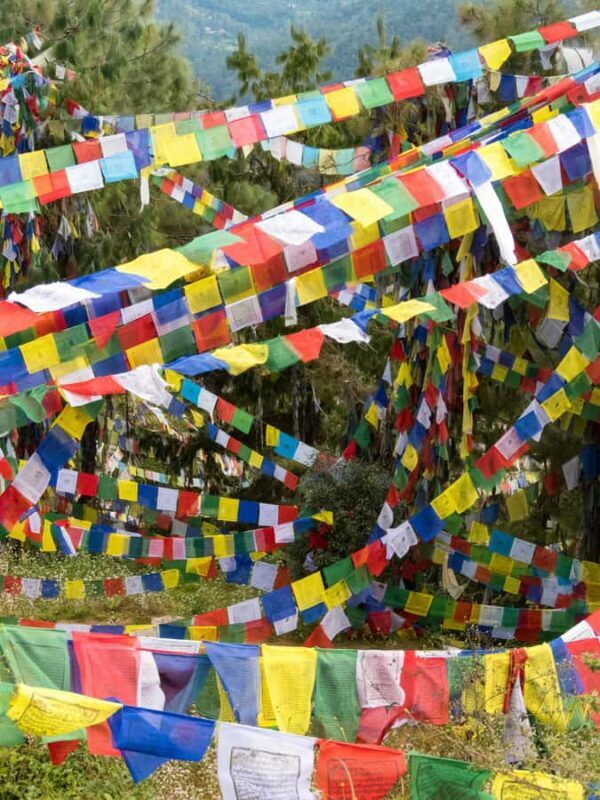 Kathmandu: Namobuddha Day Hike with Monastery Visit - Authentic Experiences and Reviewer Insights