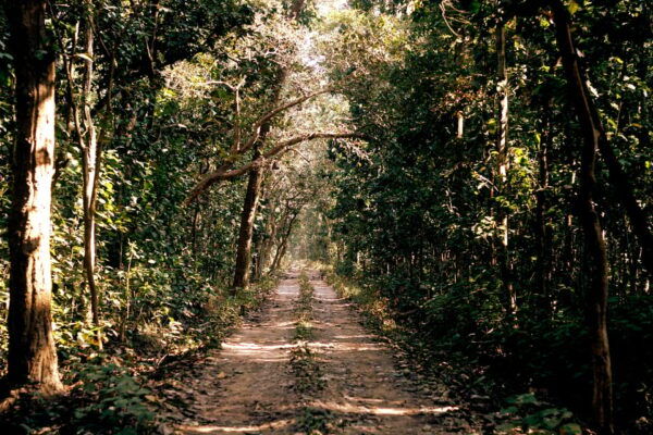 Kathmandu Pashupati: Eco- Hiking at Shivapuri National Park - What to Expect