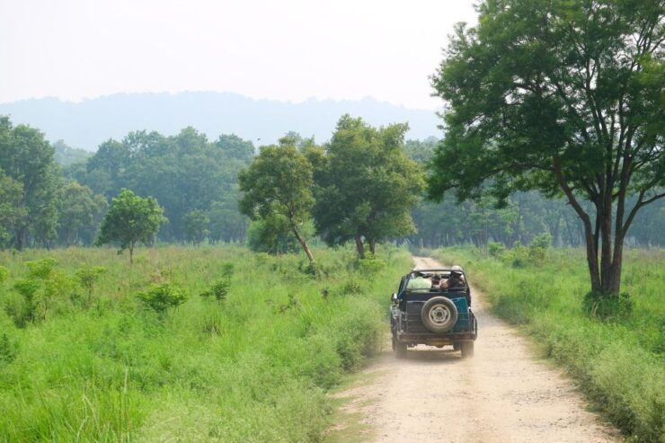 Kathmandu/Pokhara: 2-Day Chitwan Safari Private Tour By Car - Traveling in Style