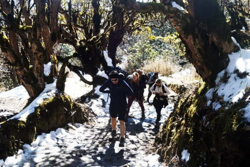 Kathmandu/Pokhara: 5-Day Mardi Base Camp (MBC) Trek - Who Will Love This Trek?