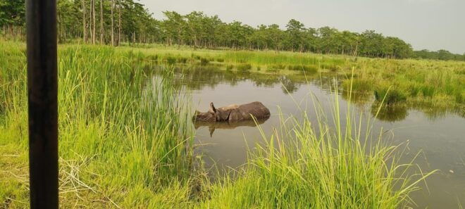 Kathmandu, Pokhara & Chitwan Tour (Budget, Standard, Luxury) - Activities and Experiences