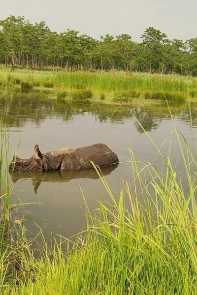 Kathmandu, Pokhara & Chitwan Tour (Budget, Standard, Luxury) - Inclusions and Exclusions