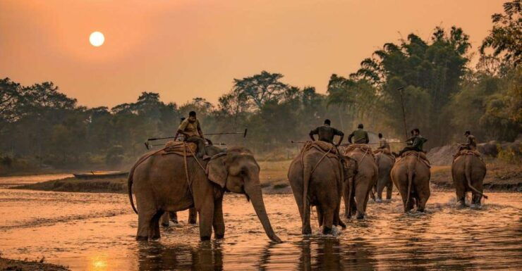 Kathmandu, Pokhara, Chitwan Tour - Highlights of the Tour