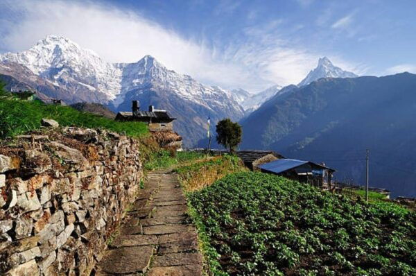 Kathmandu-Pokhara-Ghandruk-Chitwan Tour:10night/11Days Tour. - Break Down