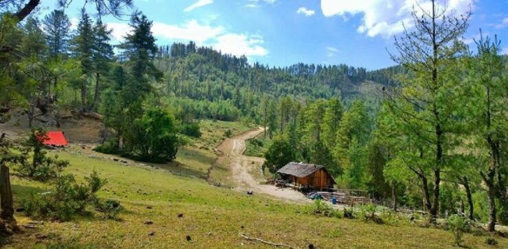 Kathmandu: Private 4WD Road Trip to Rara Lake - Booking Information