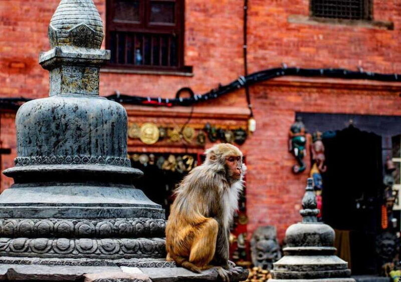 Kathmandu: Private Cultural and Heritage Day Tour - FAQs