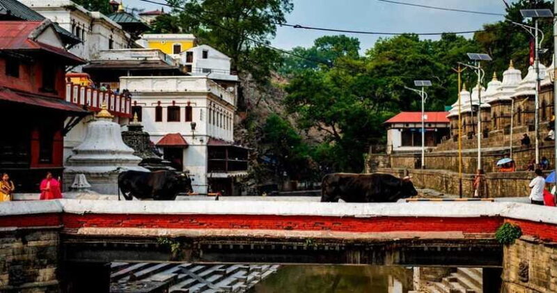 Kathmandu: Private Cultural and Heritage Day Tour - Frequently Asked Questions