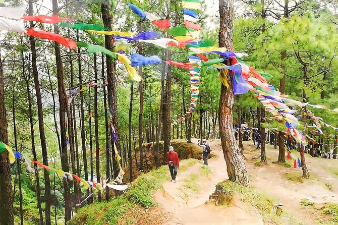 Kathmandu Private Tour: Day Hiking to Shivapuri - Itinerary Highlights