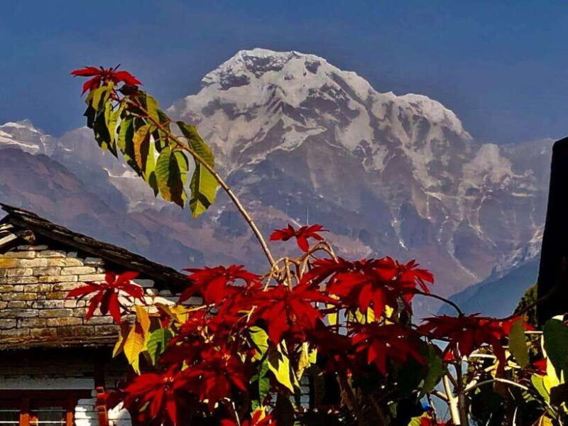 Kathmandu: Rapid Ghorepani Poon Hill Trek with Guide - Good To Know
