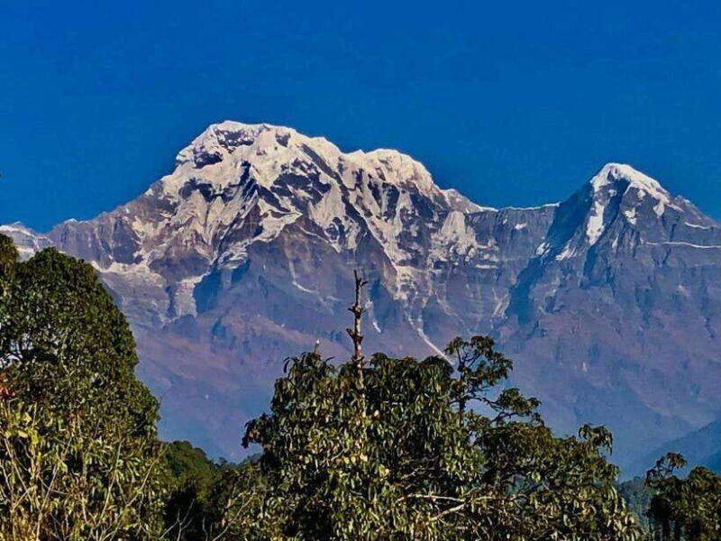 Kathmandu: Rapid Ghorepani Poon Hill Trek with Guide - An Authentic Himalayan Experience with Stunning Scenery
