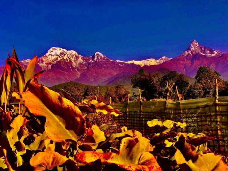 Kathmandu: Rapid Ghorepani Poon Hill Trek with Guide - Who Should Consider This Trek?