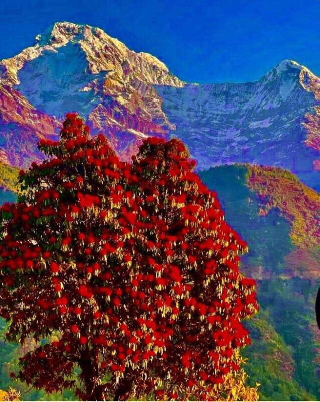 Kathmandu: Rapid Ghorepani Poon Hill Trek with Guide - Frequently Asked Questions