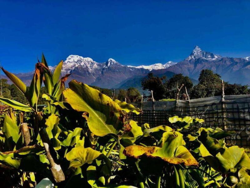 Kathmandu: Rapid Ghorepani Poon Hill Trek with Guide - The Sum Up