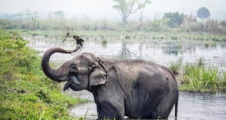 Kathmandu: Romantic Getaway to Chitwan - Key Points