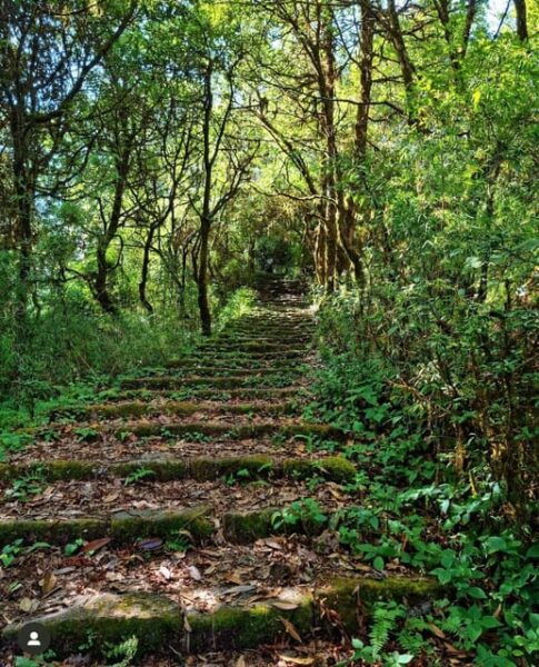 Kathmandu: Scenic Shivapuri National Park Hiking - Travel Logistics