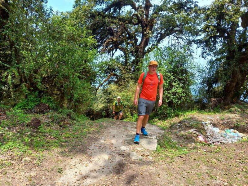 Kathmandu: Shivapuri Day Hike with Lunch - An In-Depth Look at the Shivapuri Day Hike