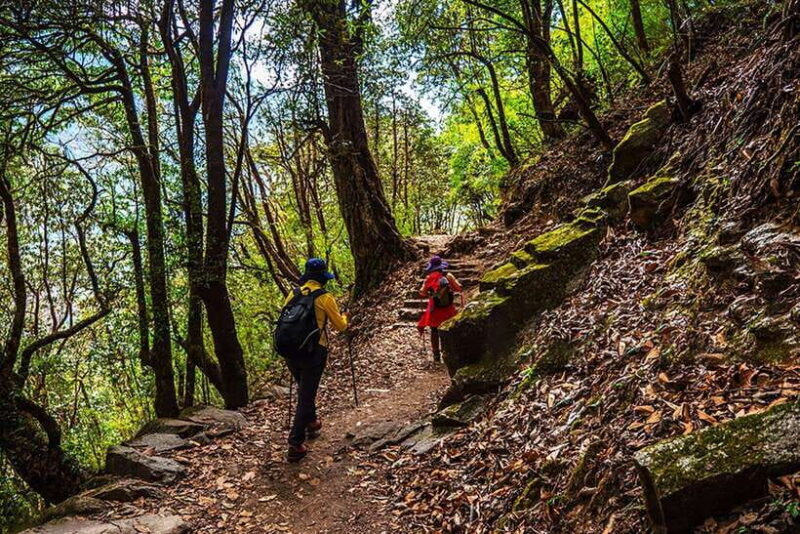 Kathmandu: Shivapuri Day Hike with Lunch - Final Thoughts