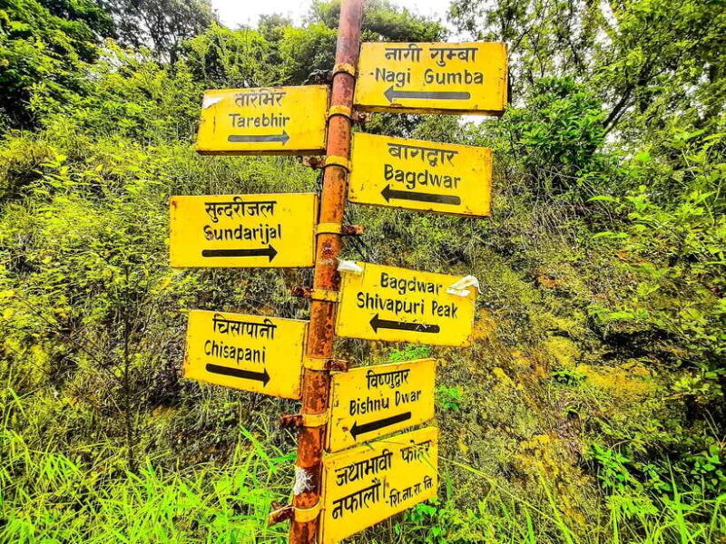 Kathmandu: Shivapuri Hill Day Hike with Lunch box - Exploring the Details of the Shivapuri Hill Day Hike