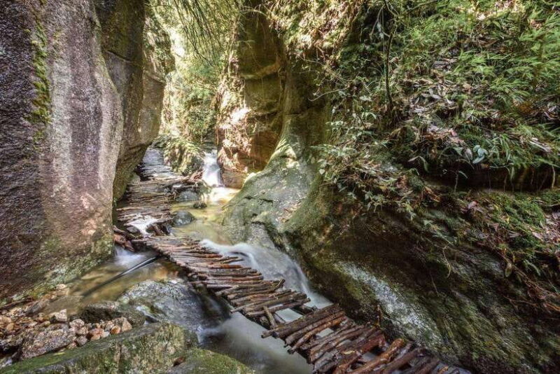 Kathmandu: Shivapuri Hill Day Hike with Lunch box - Why This Tour Offers Good Value