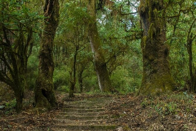 Kathmandu Shivapuri National Park and Nagarkot Hiking - 3 Days - Trip Itinerary