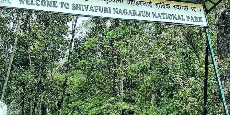 Kathmandu: Shivapuri National park Day Hiking - Who Will Love This Tour?