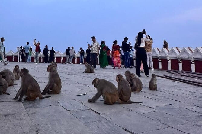 Kathmandu Sightseeing Day Tour by Guide and Private Car - A Practical Guide to the Kathmandu Sightseeing Day Tour