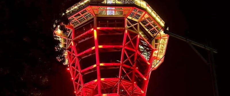 Kathmandu: Skywalk Tower In kathmandu Entry Ticket - Who Should Skip It