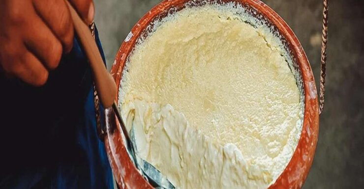 Kathmandu Street Food Tour - Tour Highlights