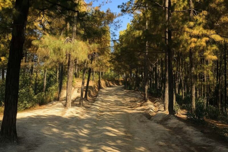 Kathmandu: Tarebhir, Nagi Gompa, & Budhanilkantha Day Hike - Who is this tour perfect for?