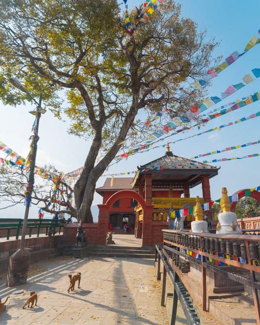 Kathmandu Taxi Tour - Swayambhunath (Monkey Temple)