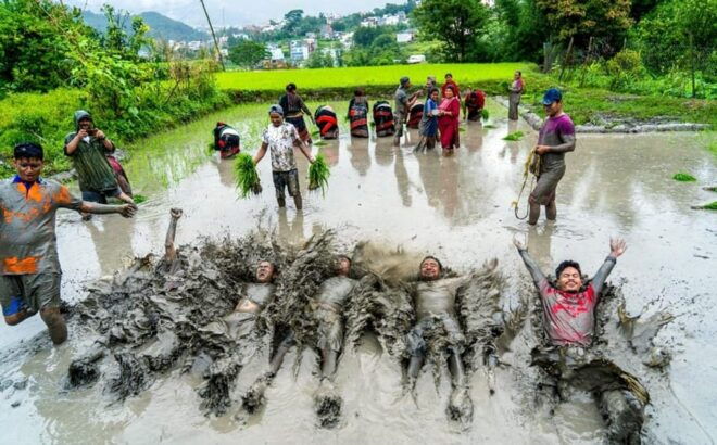 Kathmandu: the Mud and the Miracle,Paddy Plantation Festival - Unique Experiences